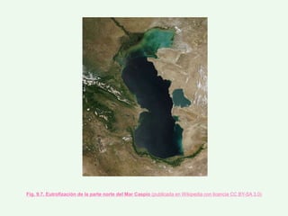 Fig. 9.7. Eutrofización de la parte norte del Mar Caspio (publicada en Wikipedia con licencia CC BY-SA 3.0)
 