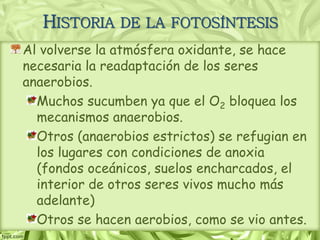Al volverse la atmósfera oxidante, se hace
necesaria la readaptación de los seres
anaerobios.
Muchos sucumben ya que el O2 bloquea los
mecanismos anaerobios.
Otros (anaerobios estrictos) se refugian en
los lugares con condiciones de anoxia
(fondos oceánicos, suelos encharcados, el
interior de otros seres vivos mucho más
adelante)
Otros se hacen aerobios, como se vio antes.
HISTORIA DE LA FOTOSÍNTESIS
 
