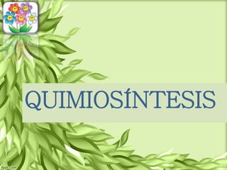 QUIMIOSÍNTESIS
 