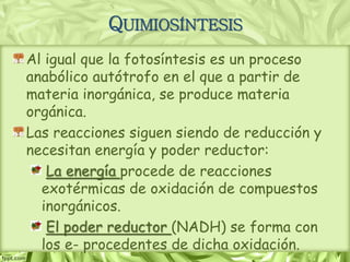 QUIMIOSÍNTESIS
Al igual que la fotosíntesis es un proceso
anabólico autótrofo en el que a partir de
materia inorgánica, se produce materia
orgánica.
Las reacciones siguen siendo de reducción y
necesitan energía y poder reductor:
La energía procede de reacciones
exotérmicas de oxidación de compuestos
inorgánicos.
El poder reductor (NADH) se forma con
los e- procedentes de dicha oxidación.
 