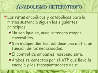 Las rutas anabólicas y catabólicas para la
misma sustancia siguen los siguientes
principios:
No son iguales, aunque tengan etapas
reversibles.
Son independientes, dándose una u otra en
función de las necesidades.
El control de ambas es independiente.
Ambas se conectan por el ATP que lleva la
energía y los transportadores de e-
ANABOLISMO HETERÓTROFO
 