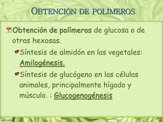 Obtención de polímeros de glucosa o de
otras hexosas.
Síntesis de almidón en las vegetales:
Amilogénesis.
Síntesis de glucógeno en las células
animales, principalmente hígado y
músculo. : Glucogenogénesis
OBTENCIÓN DE POLÍMEROS
 