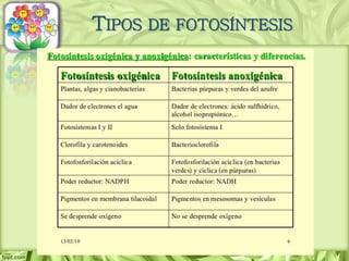TIPOS DE FOTOSÍNTESIS
 