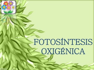 FOTOSÍNTESIS
OXIGÉNICA
 