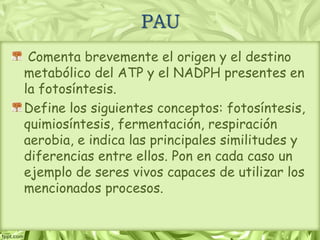Comenta brevemente el origen y el destino
metabólico del ATP y el NADPH presentes en
la fotosíntesis.
Define los siguientes conceptos: fotosíntesis,
quimiosíntesis, fermentación, respiración
aerobia, e indica las principales similitudes y
diferencias entre ellos. Pon en cada caso un
ejemplo de seres vivos capaces de utilizar los
mencionados procesos.
PAU
 