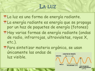 LA LUZ
La luz es una forma de energía radiante.
La energía radiante es energía que se propaga
por un haz de paquetes de energía (fotones)
Hay varias formas de energía radiante (ondas
de radio, infrarrojas, ultravioletas, rayos X,
etc.).
Para sintetizar materia orgánica, se usan
únicamente las ondas de
luz visible.
 