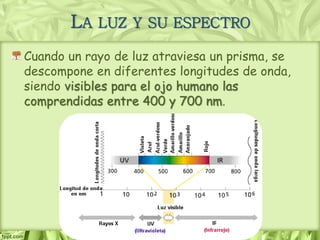 LA LUZ Y SU ESPECTRO
Cuando un rayo de luz atraviesa un prisma, se
descompone en diferentes longitudes de onda,
siendo visibles para el ojo humano las
comprendidas entre 400 y 700 nm.
 