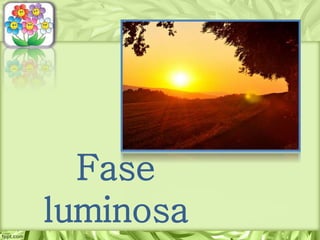 Fase
luminosa
 