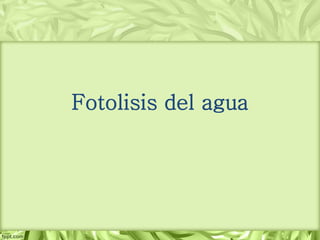 Fotolisis del agua
 