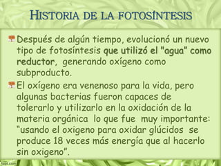 Después de algún tiempo, evolucionó un nuevo
tipo de fotosíntesis que utilizó el "agua” como
reductor, generando oxígeno como
subproducto.
El oxígeno era venenoso para la vida, pero
algunas bacterias fueron capaces de
tolerarlo y utilizarlo en la oxidación de la
materia orgánica lo que fue muy importante:
“usando el oxigeno para oxidar glúcidos se
produce 18 veces más energía que al hacerlo
sin oxigeno”.
HISTORIA DE LA FOTOSÍNTESIS
 