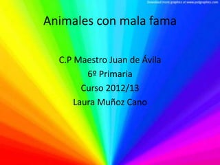 Animales con mala fama

  C.P Maestro Juan de Ávila
         6º Primaria
        Curso 2012/13
      Laura Muñoz Cano
 