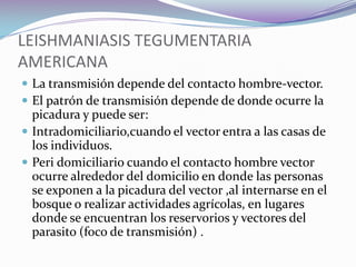 Presencia de leishmaniasis en las zonas andinas de  Perú y Ecuador( donde la transmisión guarda relación con la distribución andina del vector ,que varia entre los 700 a 3000 mts sobre el nivel del mar).
