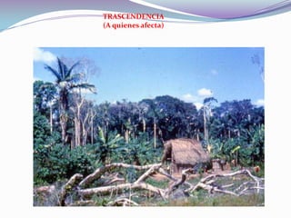 En algunos países la Leishmaniasis recibe nombres populares como : ulcera de los chicleros ,uta en Perú para las formas cutáneas y espundia para las formas cutáneo mucosas en Perú y Bolivia.