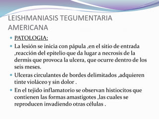 Los desastres naturales (Inundaciones), el fenómeno el Niño, condicionan a que se incrementen las poblaciones de mosquitos, situación que pone en mayor riego a las poblaciones que habitan estas zonas.