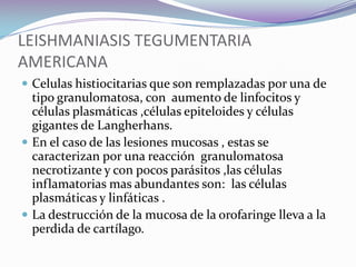 En la zafra de caña de azúcar de Bermejo, en el departamento de Tarija, familias integras de pobladores de la zona andina se dirigen a trabajar en precarias condiciones de vivienda e higiene, exponiéndose a las enfermedades infecto contagiosas y las Leishmaniasis.