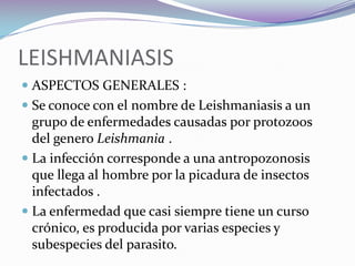 LEISHMANIASIS ASPECTOS GENERALES :Se conoce con el nombre de Leishmaniasis a un grupo de enfermedades causadas por protozoos del genero Leishmania .La infección corresponde a una antropozonosis que llega al hombre por la picadura de insectos infectados .La enfermedad que casi siempre tiene un curso crónico, es producida por varias especies y subespecies del parasito. 