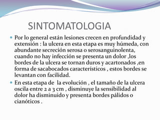          SINTOMATOLOGIALa ulcera característica es generalmente redondeada, indolora, con bordes bien definidos, y cortados en forma de sacabocado ,este borde es levantado e indurado ,después de algunos meses la lesión llega a medir algunos centímetros y con frecuencia los parásitos invaden los cordones linfáticos , y producen linfangitis y linfadenitis regional ,lo cual se palpa como un rosario.Por la diseminación linfática ,hematica o autoinoculacion ,por rascado ,algunas veces aparecen lesiones a distancia .