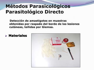 DIAGNOSTICO EN LEISHMANIASIS CUTANEA Y MUCOCUTANEA CLINICO .EPIDEMIOLOGICO .LABORATORIAL .LABORATORIAL : Permite el diagnostico confirmativo .Tratamiento oportuno .Información epidemiológica.