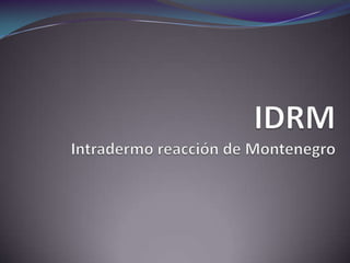 IDRMIntradermo reacción de Montenegro