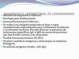 DIAGNOSTICO LABORATORIAL DE LEISHMANIASISMétodos de diagnostico indirecto:Serología para leishmaniasis:Inmunofluorescencia indirecta :Se realiza con antígeno preparado en base a cepas estandarizadas especialmente para Leishmania brasiliensis y Leishmania mexicana Permite detectar la presencia de anticuerpos específicos IgG e IgM en sueros de pacientes que han tenido contacto con el parasito.Prueba inmunoenzimatica (ELISA):Permite cuantificar antígenos y anticuerpos en muestras biológicas .Se utilizan antígenos totales , solo IgG.