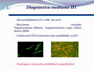  Unión Promastigote-Ac anti-Leishmania    