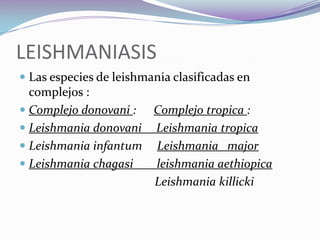 LEISHMANIASISLas especies de leishmania clasificadas en complejos :Complejo donovani :      Complejo tropica :Leishmania donovani     Leishmania tropica Leishmania infantum     Leishmania   major Leishmania chagasi        leishmania aethiopica                                               Leishmania killicki   