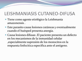  Unión Ag-Ac anti-Leishmania