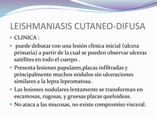  Detección: Anti-IgG-enzima