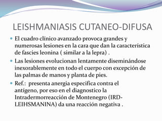  Antígenos: SLA, parásitos completos, rk39