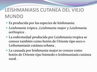 TRATAMIENTO DE LA LEISHMANIASIS CUTANEA En la fase cutánea se utiliza:Antimoniato de meglumina o N-metilglucamina ( glucantime):Se presenta en ampollas de 5 ml que contiene 1,5 kgm de la sal (300 y cada ml contiene 85 mg de antimonio).La dosis es de  60 mg por kg día durante 20 dias seguidos.Tratamiento de la Leishmaniasis mucocutanea: Antimonio de N-metilglucamina (Glucantime) .