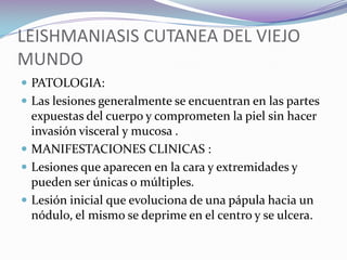 TRATAMIENTO DE LA LEISHMANIASIS CUTANEA En pacientes con lesiones mucosas severas: el tratamiento de elección: anfotericina B que es un medicamento electivo para las formas severas de LeishmaniasisOtros medicamentos: Stibogluconato de sodio (Pentostan) solución antimonial pentavalente, cada ml contiene 100 mg de antimonio ,se utilizan a las mismas dosis y esquemas del glucantime .