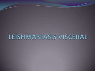 LEISHMANIASIS CUTANEO-DIFUSA 