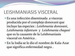  LEISHMANIASIS CUTANEO-DIFUSATiene como agente etiológico la Leishmania amazonensis .Este parasito causa lesiones cutáneas y eventualmente cuando el huésped presenta anergia.Causa lesiones difusas .El paciente presenta un defecto en los mecanismos de la inmunidad celular ,especialmente supresión de los monocitos en la respuesta linfocitica especifica ante el antigeno.