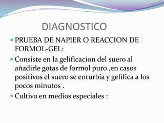 LEISHMANIASIS VISCERAL 