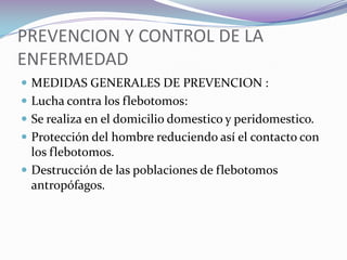  MANIFESTACIONES CLINICAS Existe un periodo de incubación de 4 a 10 meses .La enfermedad se caracteriza por :Fiebre irregular.El bazo crece gradualmente (esplenomegalia marcada) .Hepatomegalia .Linfoadenopatia generalizada .Adelgazamiento.Presenta : anemia ,leucopenia , tronbocitopenia , en general pancitopenia .