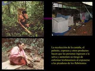             DIAGNOSTICOLABORATORIAL:BUSQUEDA DEL PARASITO POR PUNCION DE MEDULA OSEA : Con las improntas obtenidas se hacen extendidos para buscar formas amastigotes dentro de las células del sistema retículo-endotelial.INTRADERMOREACCION DE MONTENEGRO: reacción de hipersensibilidad tardía , prueba de la leishmanina.