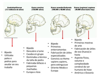 • Bípedo
                                        •   Bípedo               • Primeiras mostras
                                        •   Primeiros              de arte
                  • Bípedo                                       • Fabricación de útiles
                                            enterramentos
                  • Descubre o lume
• Bípedo                                •   Fabricación de útiles de oso (hueso) e
                  • Cazaba en grupo                                hasta
• Utilizaba                                 especializados
                  • Dominaba a técnica
  palos e                               •   Conviviu co Homo • Aspecto físico,
                    da talla de pedra                              volume e
  pedras para                               sapiens sapiens,
                  • Fabricaba bifaces e                            complexidade
  axudar ao seu                             pero extinguiuse
                    pequenas                                       cerebral do ser
  traballo                              •   Oriente Medio e
                    machadas.                                      humano de hoxe
                                            Europa
                  • Europa e Asia                                • América e Oceanía
 