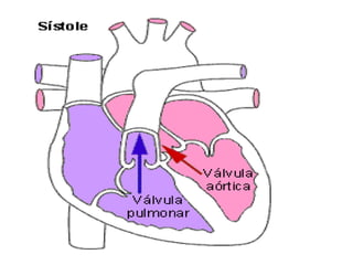 Tema 9. Sistema Circulatorio