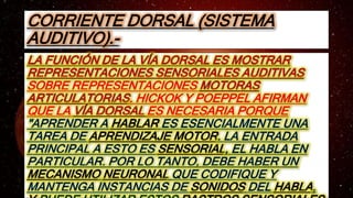 INTERFAZ
EXTRA
SENSORIAL
PROCESAMIENTO
AUDITIVO MEDIANTE
LA CORRIENTE
VENTRAL,
CORRIENTE
VENTRAL
COLICULO
SUPERIOR
CORRIEN...