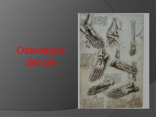 Osteología
del pie

 