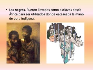 • Los negros. Fueron llevados como esclavos desde
  África para ser utilizados donde escaseaba la mano
  de obra indígena.
 