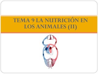 TEMA 9 LA NUTRICIÓN EN
   LOS ANIMALES (II)
 