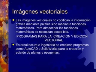Imágenes vectoriales Las imágenes vectoriales no codifican la información gráfica mediante píxeles sino mediante funciones matemáticas. Para almacenar las funciones matemáticas se necesitan pocos bits. PROGRAMAS PARA LA  CREACIÓN Y EDICIÓN VECTORIAL En arquitectura e ingeniería se emplean programas como AutoCAD o SolidWorks para la creación y edición de planos y esquemas. 