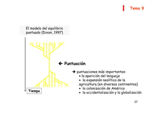 27



 Puntuación
Tiempo
El modelo del equilibrio
puntuado (Dixon, 1997)
 puntuaciones más importantes:
• la aparición del lenguaje
• la expansión neolítica de la
agricultura (en diversos continentes)
• la colonización de América
• la occidentalización y la globalización
Tema 9
 