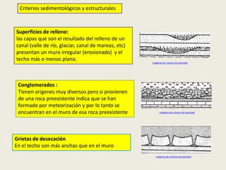Criterios sedimentológicos y estructurales

Superficies de relleno:
las capas que son el resultado del relleno de un
canal (valle de río, glaciar, canal de mareas, etc)
presentan un muro irregular (erosionado) y el
techo más o menos plano.

Conglomerados :
Tienen orígenes muy diversos pero si provienen
de una roca preexistente indica que se han
formado por meteorización y por lo tanto se
encuentran en el muro de esa roca preexistente

Imágenes de criterios de polaridad

Imágenes de criterios de polaridad

Grietas de desecación
En el techo son más anchas que en el muro
Imágenes de criterios de polaridad

 