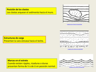 Posición de los clastos
Los clastos arquean el sedimento hacia el muro.

Imágenes de criterios de polaridad

Estructuras de carga
Presentan la cara cóncava hacia el techo.

Imágenes de criterios de polaridad

Marcas en el estrato
Cuando existen ripples, rizaduras o dunas
presentan forma de V o de U en posición normal.

Imágenes de criterios de polaridad

 