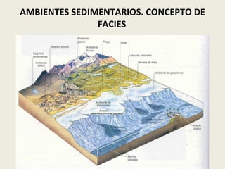 AMBIENTES SEDIMENTARIOS. CONCEPTO DE
FACIES.

 