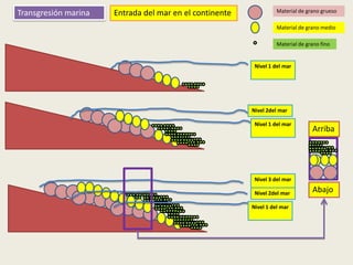 Transgresión marina

Entrada del mar en el continente

Material de grano grueso
Material de grano medio
Material de grano fino

Nivel 1 del mar

Nivel 2del mar
Nivel 1 del mar

Arriba

Nivel 3 del mar
Nivel 2del mar
Nivel 1 del mar

Abajo

 