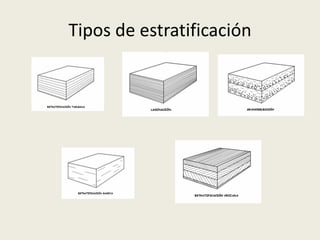 Tipos de estratificación

 