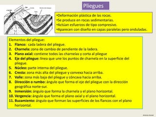 Pliegues
•Deformación plástica de las rocas.
•Se produce en rocas sedimentarias.
•Actúan esfuerzos de tipo compresivo.
•Aparecen con diseño en capas paralelas pero onduladas.
Elementos del pliegue:
1. Flanco: cada ladera del pliegue.
2. Charnela: zona de cambio de pendiente de la ladera.
3. Plano axial: contiene todos las charnelas y corta al pliegue
4. Eje del pliegue: línea que une los puntos de charnela en la superficie del
pliegue.
5. Núcleo: parte interna del pliegue.
6. Cresta: zona más alta del pliegue y convexa hacia arriba.
7. Valle: zona más baja del pliegue y cóncava hacia arriba.
8. Dirección o rumbo: ángulo que forma el eje del pliegue con la dirección
geográfica norte-sur.
9. Inmersión: ángulo que forma la charnela y el plano horizontal.
10. Vergencia: ángulo que forma el plano axial y el plano horizontal.
11. Buzamiento: ángulo que forman las superficies de los flancos con el plano
horizontal.
Antonio Arenal

 